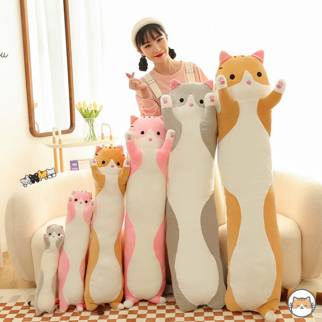 Biscuit Caramel Cat - Lifestyle