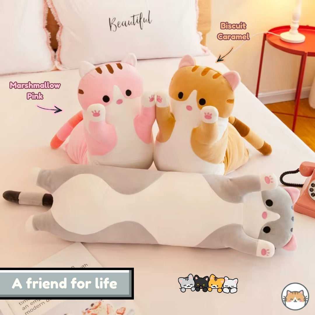 Cloud Grey Cat - Lifestyle