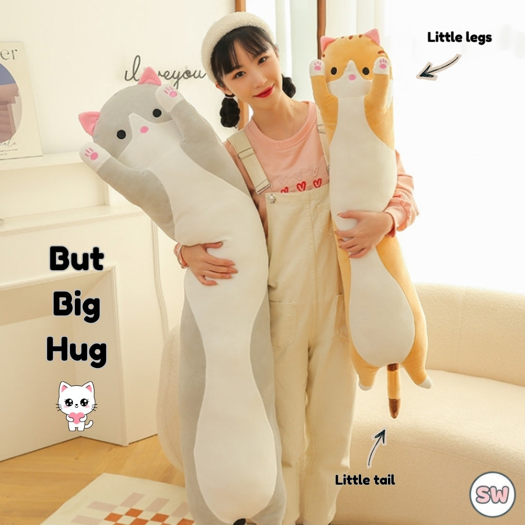 Cloud Grey Cat - Close-up