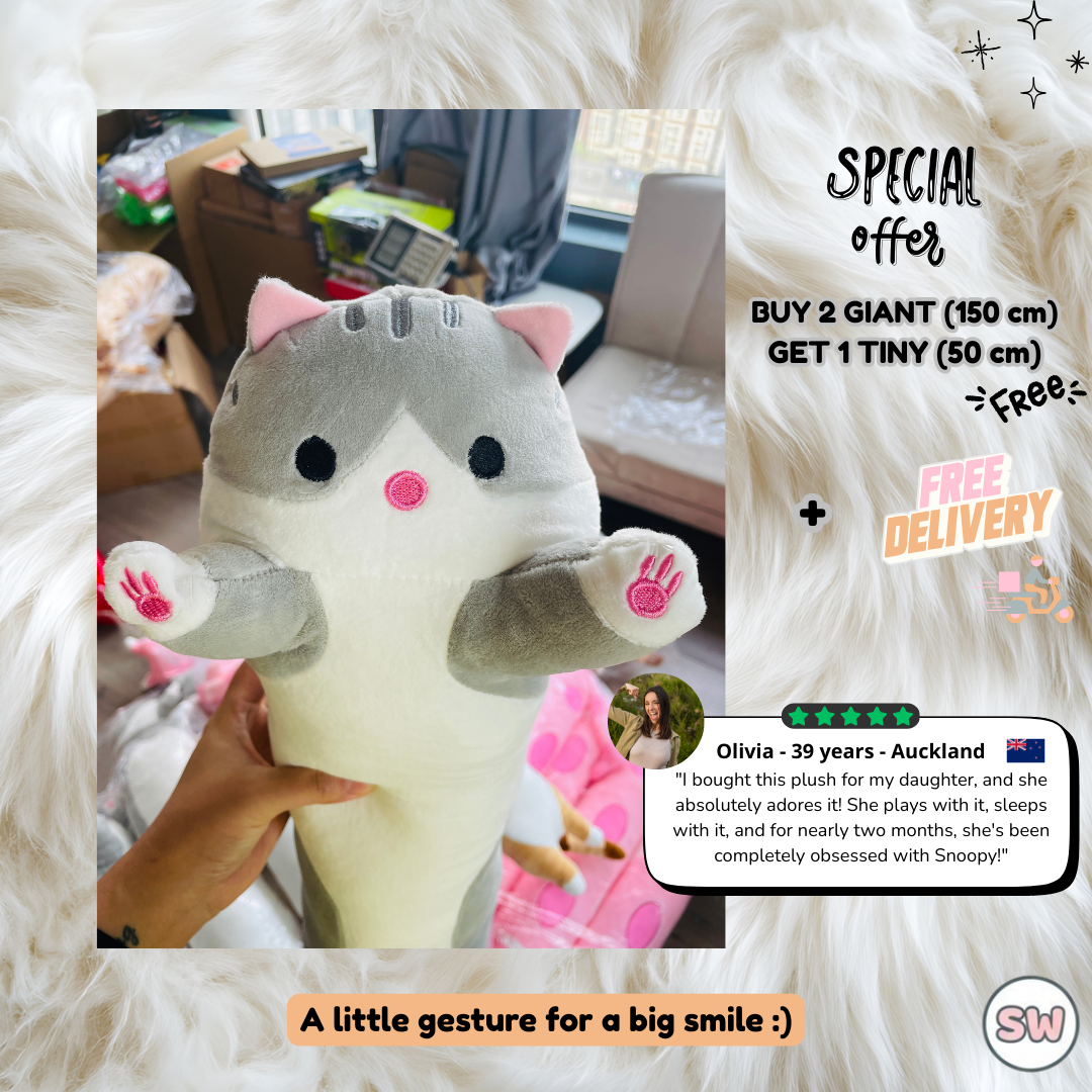 Cloud Grey Cat - Display